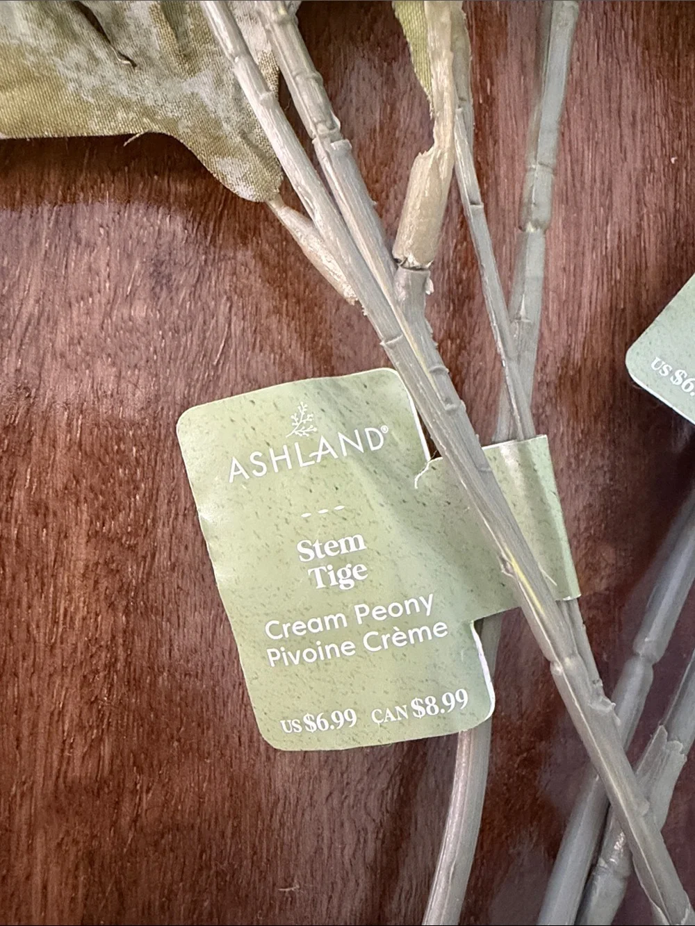(8) NWT Cream Peony Stems by Ashland